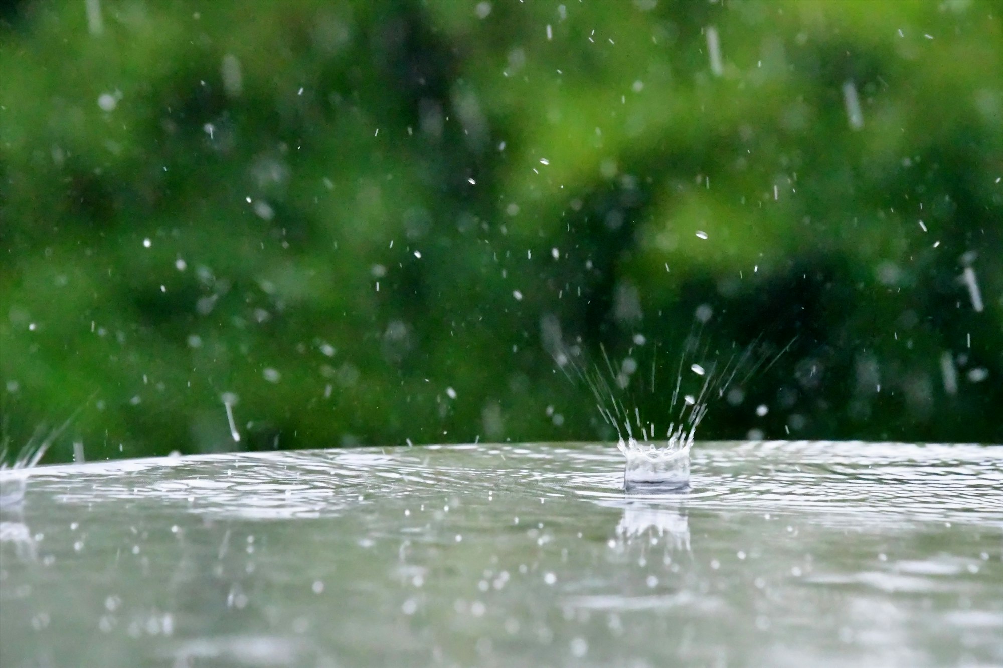 Vandskade efter skybrud og regn - hvad gør man?